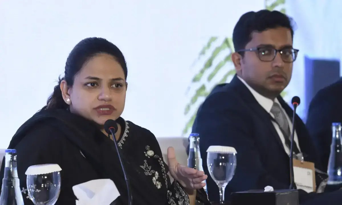 Battery storage system is missing link in Pakistan’s solar revolution, experts say