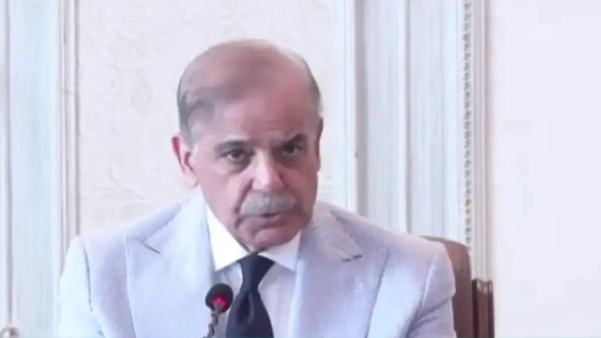 PM Shehbaz calls for efforts to turn Pakistan into an 'economic power'
