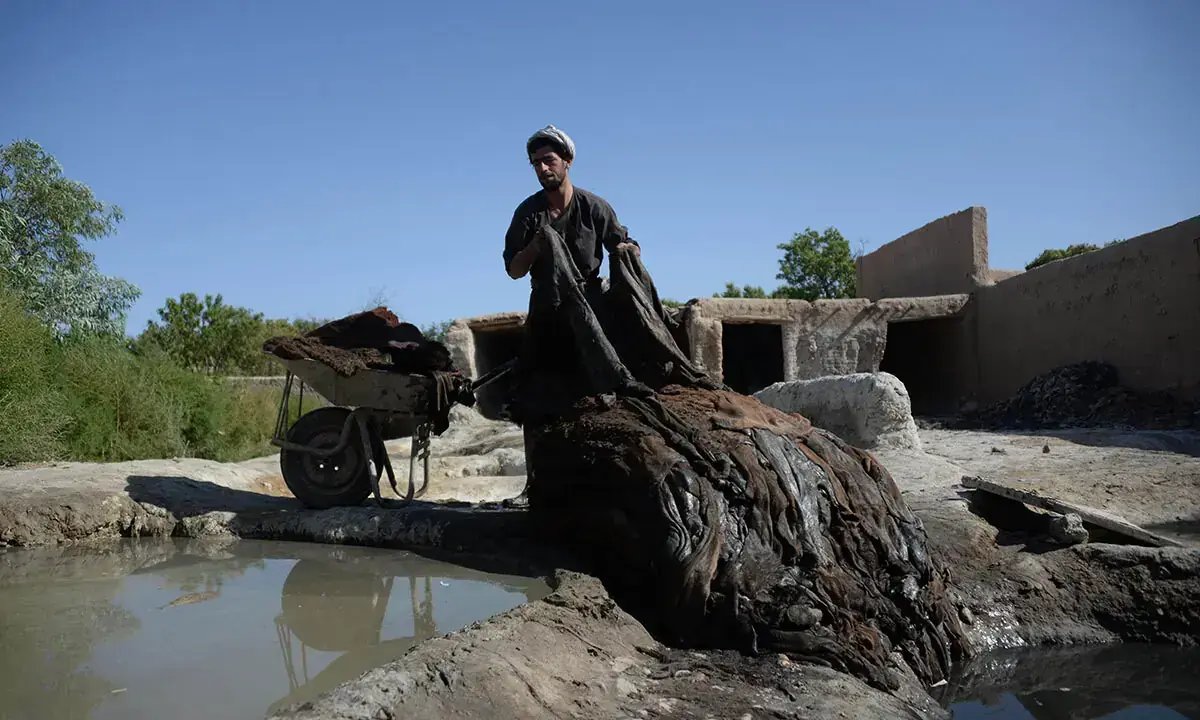 Leather exporters flag high costs
