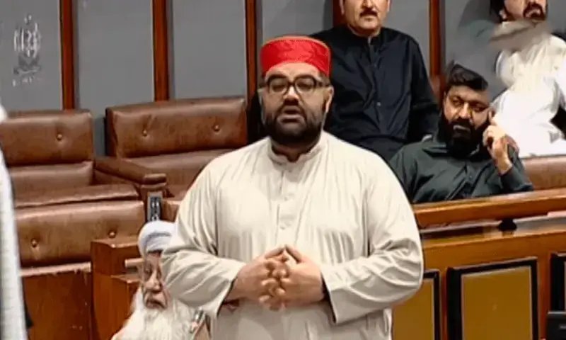 ANP moves Senate over ‘deportation’ of Pakistanis from UAE