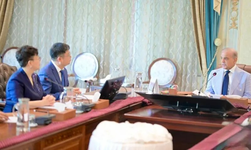 PM Shehbaz lauds 'historic' Pak-China ties in meeting with Chinese business delegation
