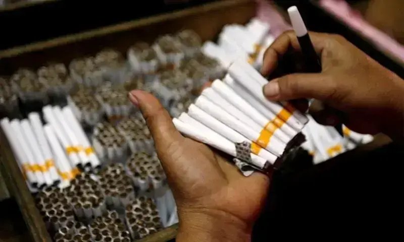 Global surplus hits tobacco exports