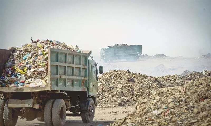 FIRs to be registered in Karachi against people found dumping offal during Eidul Azha
