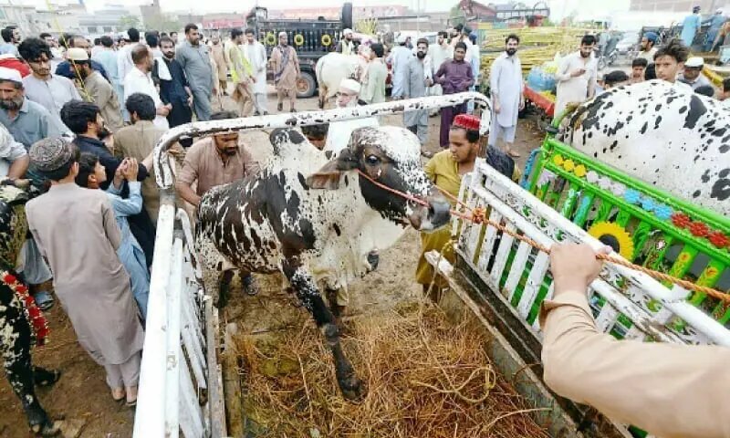 Entry of vehicles loaded with sacrificial animals banned on motorways ahead of Eidul Azha