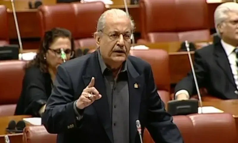 No need for 28th Constitutional Amendment, says Raza Rabbani