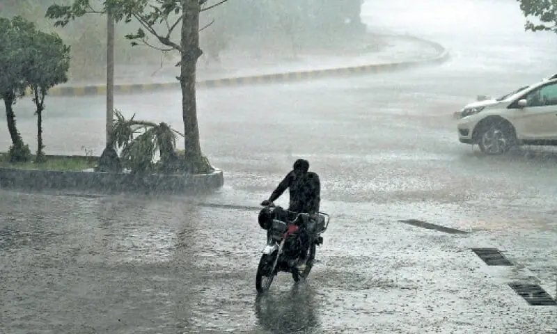 PDMA forecasts rain, dust-thunderstorms in Punjab districts until Saturday