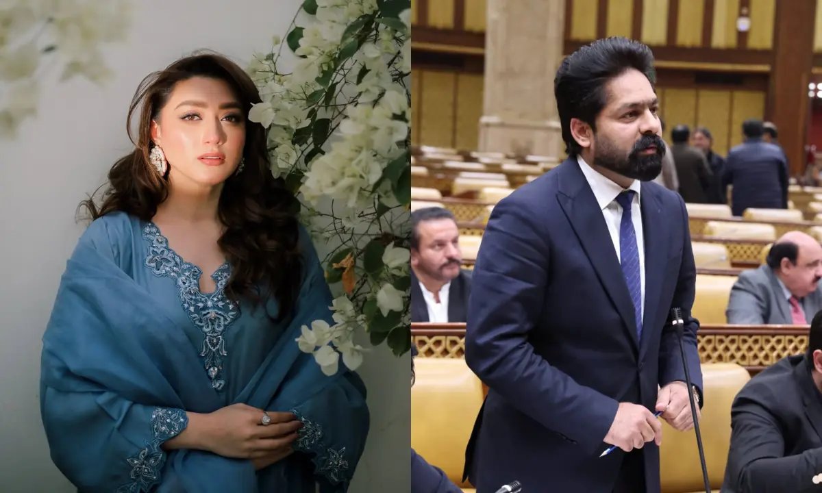 Actor Momina Iqbal, MPA Saqib Chadhar record statements before NCCIA in online harassment case