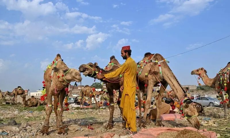 Unlike Centre, Sindh announces four Eid holidays