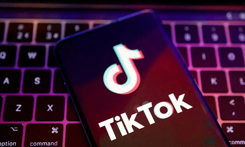 TikToker held for ‘making AI-generated obscene video’ in Bahawalnagar