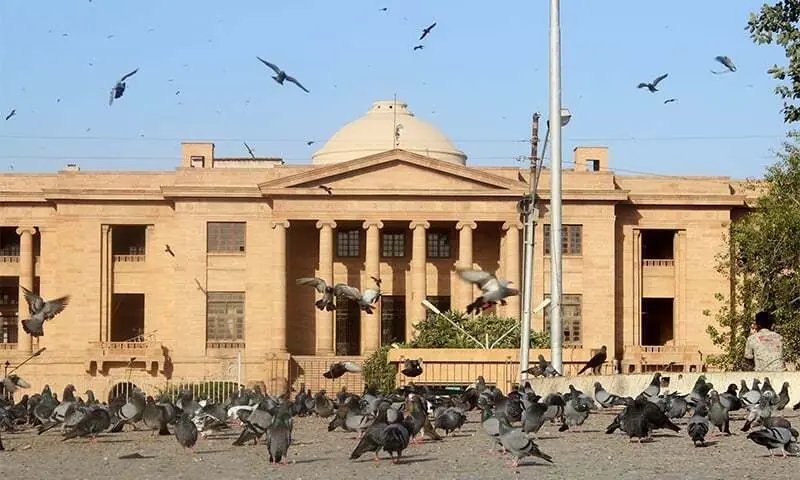 Children of govt employees who died in service take precedence in ‘deceased quota’ appointments: SHC