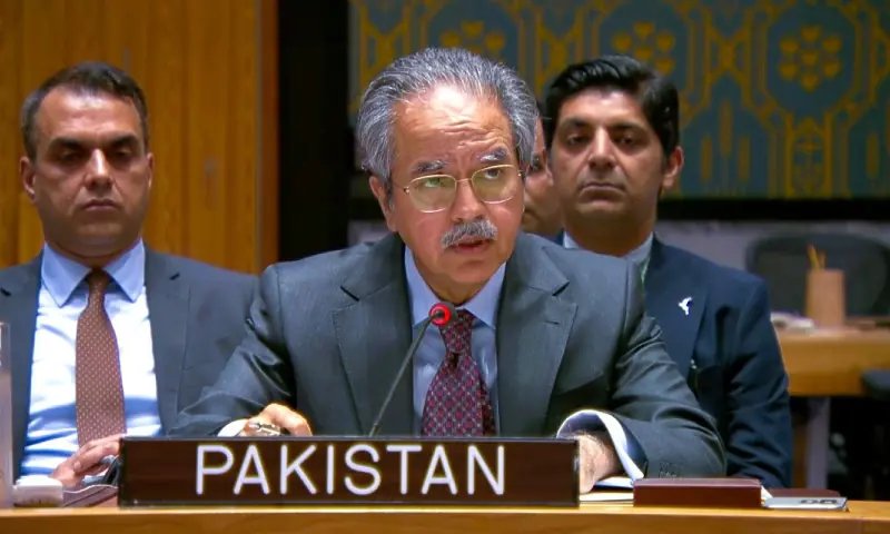 India's key objectives in Afghanistan solely driven by singular goal of destabilising Pakistan, envoy tells UNSC