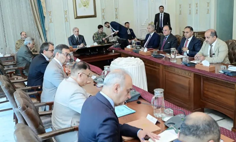 PM Shehbaz directs acceleration of DISCOs privatisation