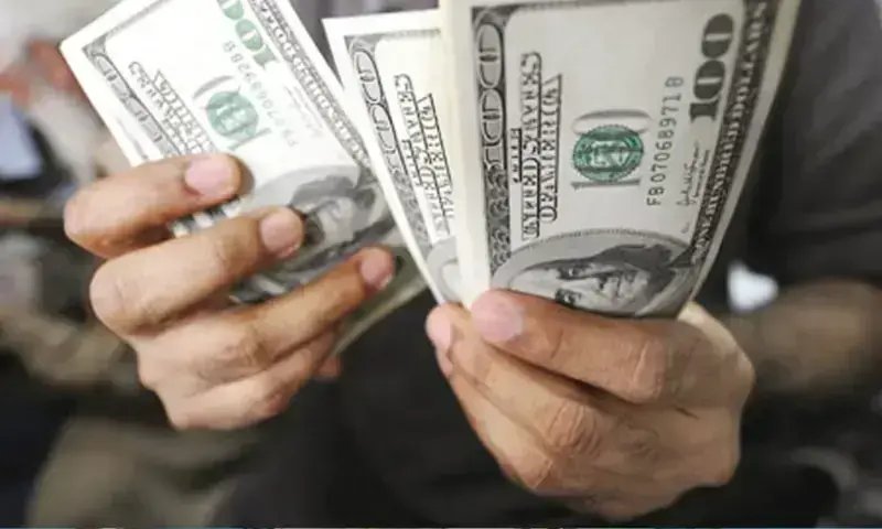 May sees 'highest-ever monthly inflow' of workers' remittances at $4.3bn