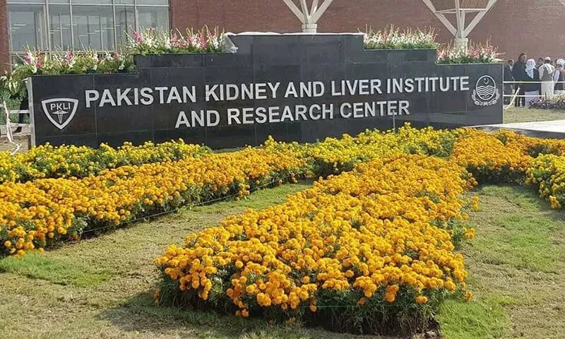 Guinness seeks medical records after Pakistani surgeons perform 10 liver transplants in under 24 hours