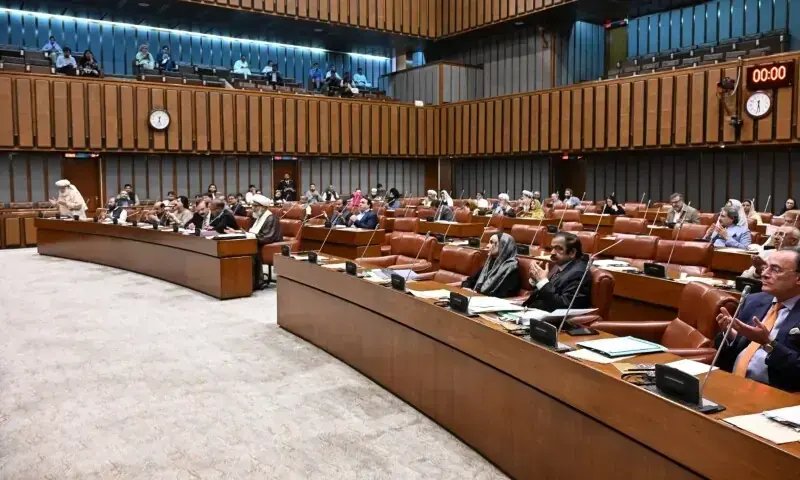 Finance Bill 2026 laid before Senate amid opposition uproar
