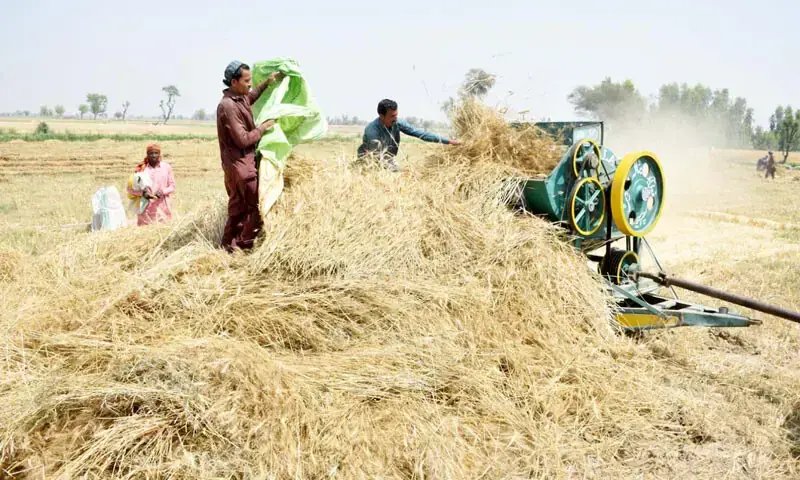 Agriculture largely ignored in budgetary proposals
