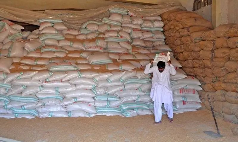 Sindh-wide crackdown on hoarders ordered amid wheat procurement shortfall