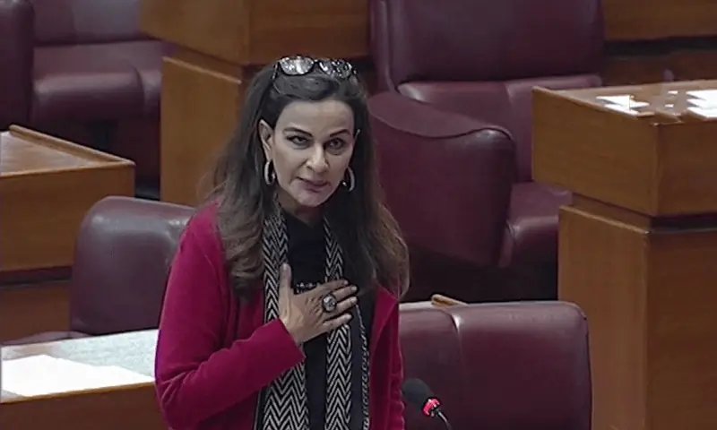 Sherry says PPP will not support any PTA bill in Senate sans 'thorough' standing committee debate