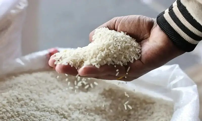 Customs warns of rice subsidy abuse
