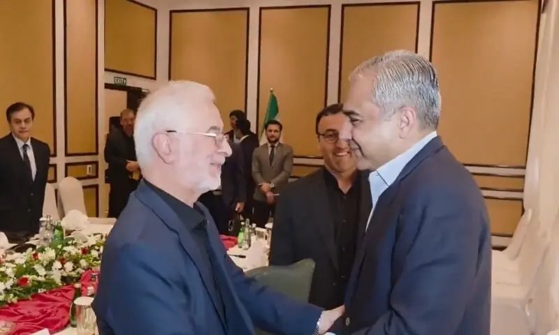 Pakistan will continue its efforts for lasting peace in the Middle East, Naqvi tells Iranian counterpart