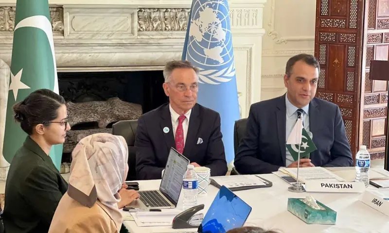 Pakistan pushes for global action against hepatitis amid alarming WHO findings