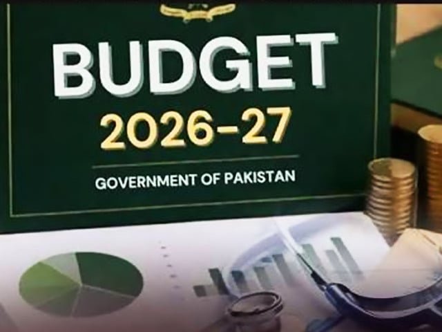 Committees formed to address budget woes