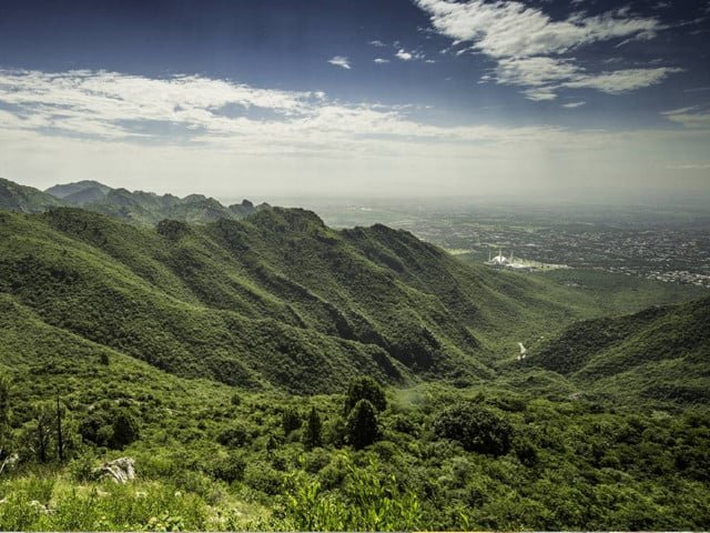 Experts urge stronger MHNP protection