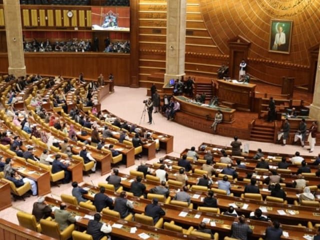 MPAs lament neglect of mother tongue