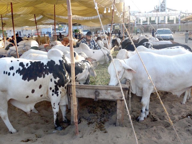 Govt declares May 26-28 public holidays for Eidul Azha