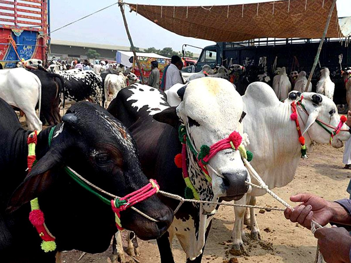 K-P announces four-day public holidays for Eidul Azha