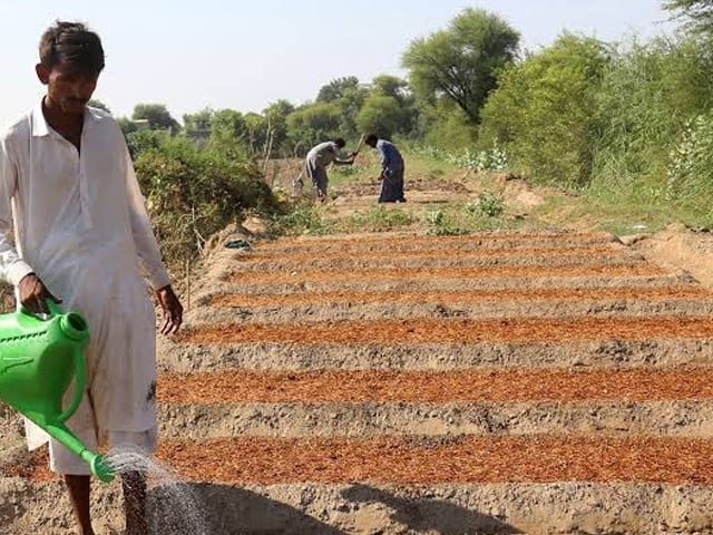 Agriculture grows 2.89% despite devastating floods