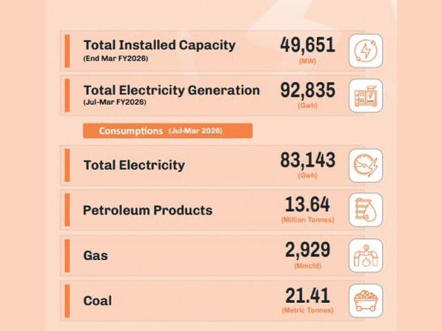 Electricity capacity swells to 49,651 MW