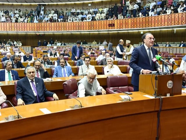Senate panel finalises Finance Bill review