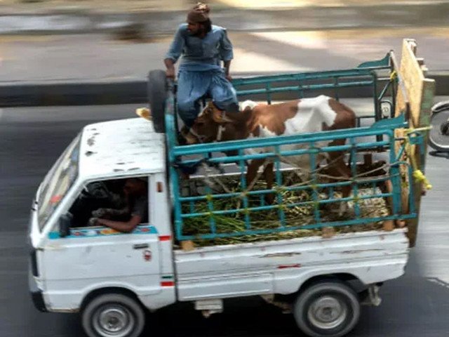 Motorways ban animal transport vehicles