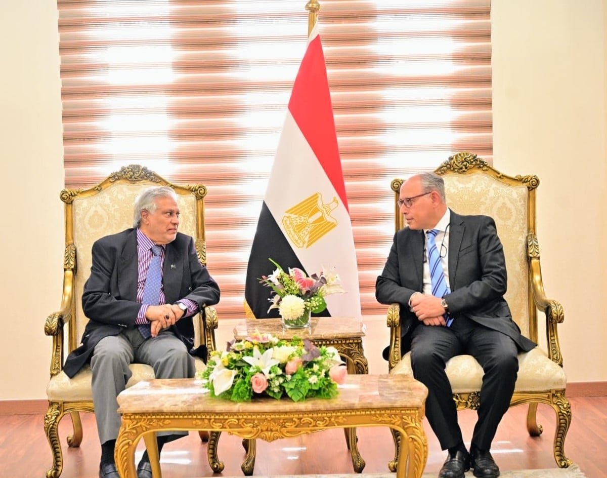 FM Dar arrives in Cairo to attend R-4 foreign ministers meeting