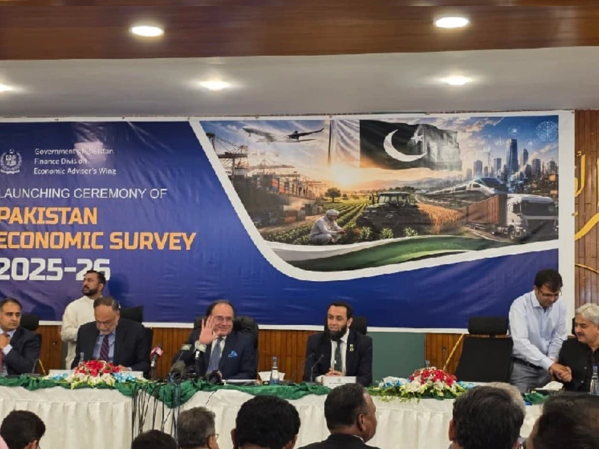 Pakistan Economic Survey: Economy expands to $452b, GDP grows 3.7%