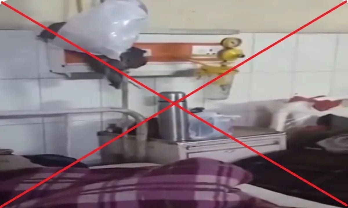 Fact-check: Viral video does not show rats roaming inside Civil Hospital Quetta; it's from India