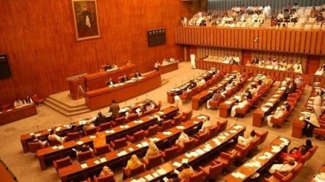 Senate human rights panel notes progress
