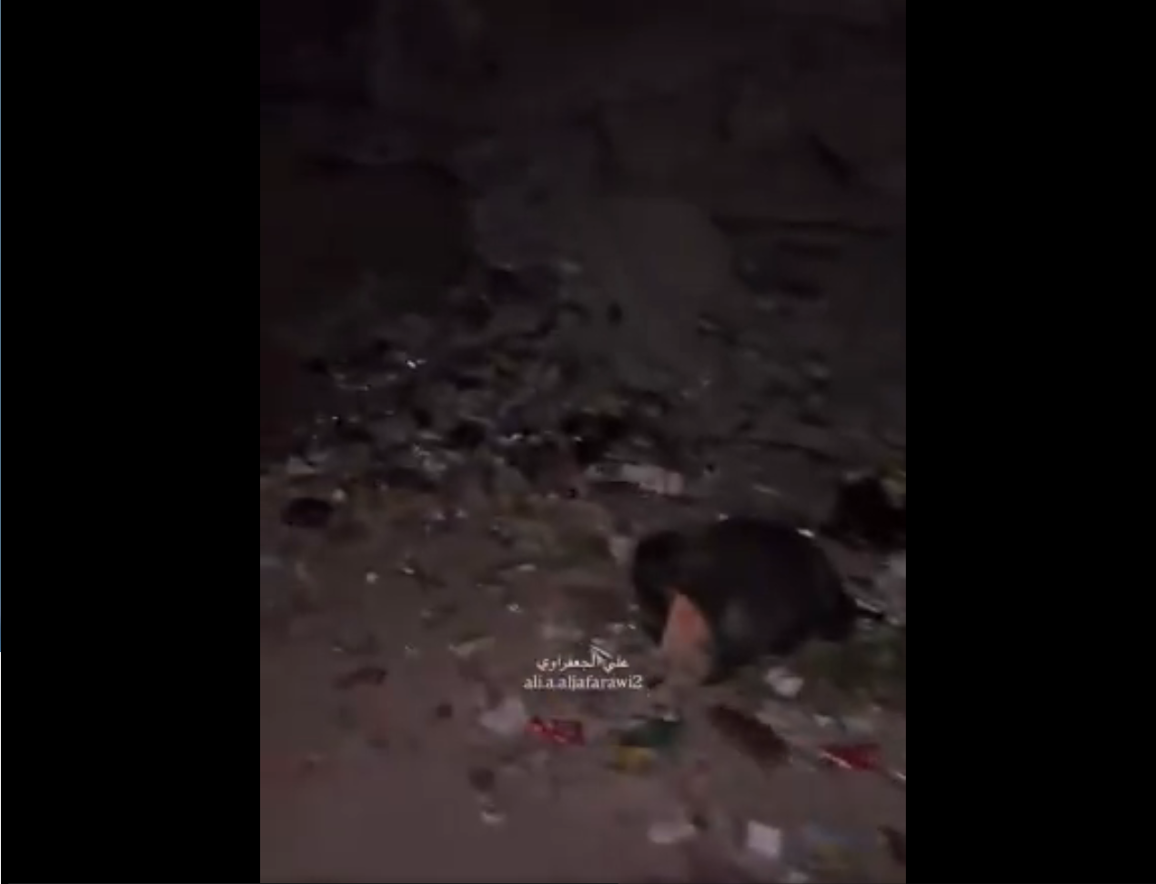 اسرائیلی بربریت میں غزہ کا نظامِ صفائی بھی تباہ، چوہوں کی بھرمار، ویڈیو