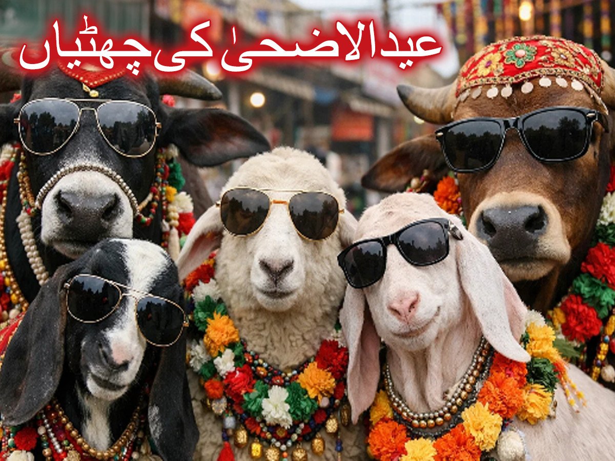 عیدالاضحیٰ پر منگل تا جمعہ 4چھٹیوں کا اعلامیہ جاری