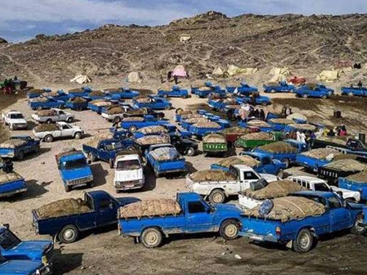 ایران سے پیٹرول لاکر ملک میں فروخت کیا جائے سستا ملے گا، سینیٹ میں تجویز پیش