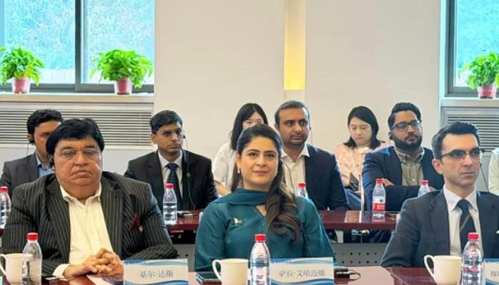 Enduring Pakistan-China friendship symbolises regional stability, prosperity: MPA Sarah Ahmad